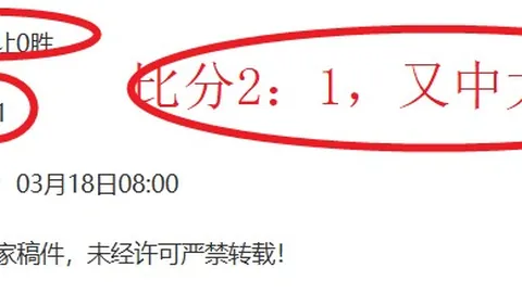 大乐透期号专家质合分析推荐：佩西加VS伯希索罗